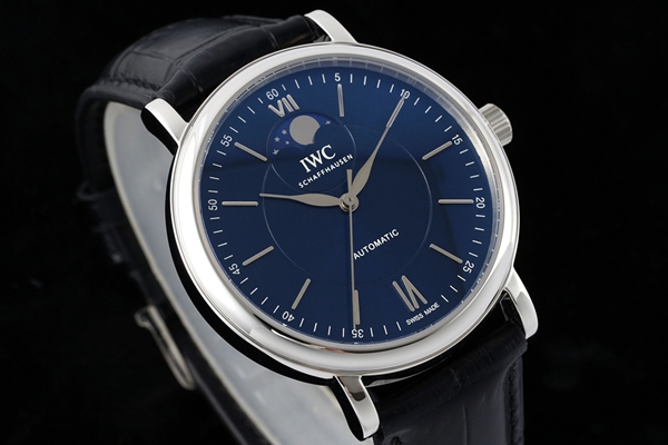 アイ・ダブリュー・シー側面デザイン